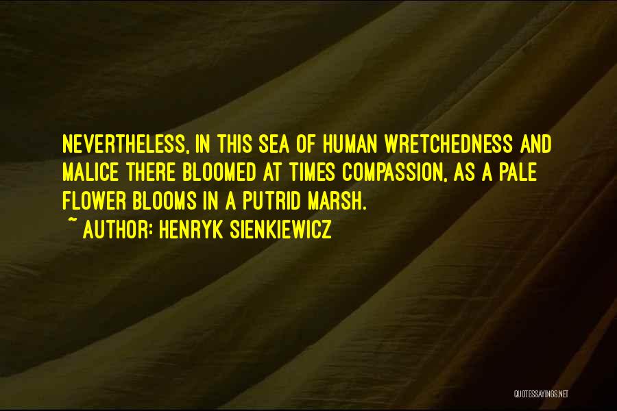 Henryk Sienkiewicz Quotes: Nevertheless, In This Sea Of Human Wretchedness And Malice There Bloomed At Times Compassion, As A Pale Flower Blooms In