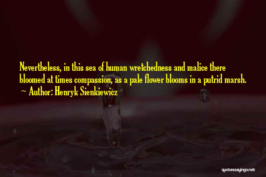 Henryk Sienkiewicz Quotes: Nevertheless, In This Sea Of Human Wretchedness And Malice There Bloomed At Times Compassion, As A Pale Flower Blooms In