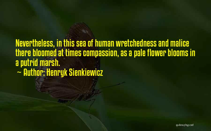 Henryk Sienkiewicz Quotes: Nevertheless, In This Sea Of Human Wretchedness And Malice There Bloomed At Times Compassion, As A Pale Flower Blooms In