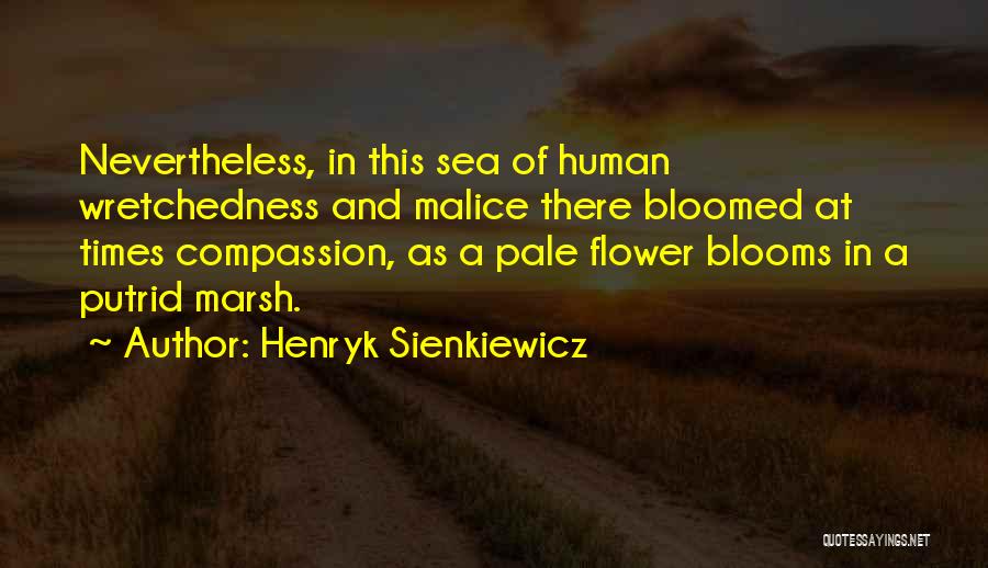 Henryk Sienkiewicz Quotes: Nevertheless, In This Sea Of Human Wretchedness And Malice There Bloomed At Times Compassion, As A Pale Flower Blooms In