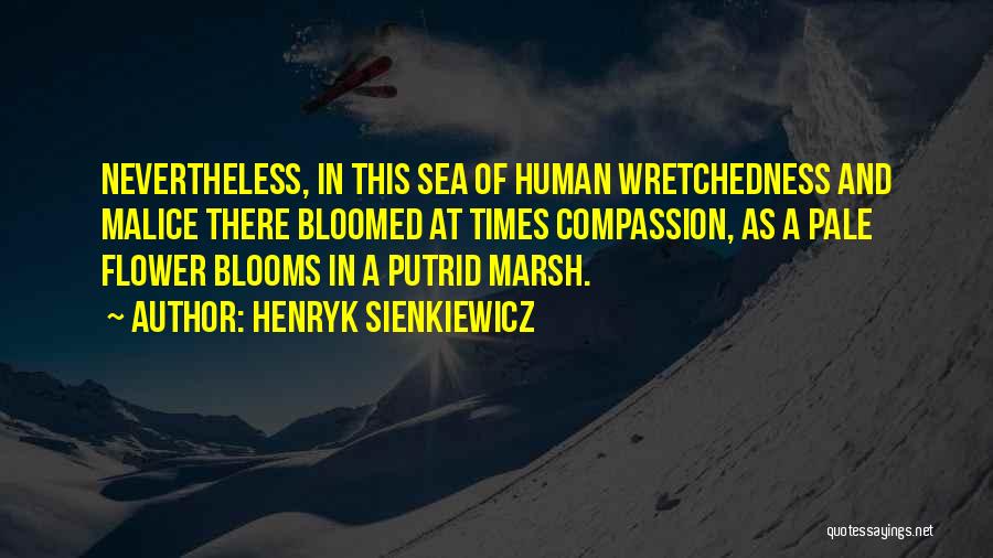 Henryk Sienkiewicz Quotes: Nevertheless, In This Sea Of Human Wretchedness And Malice There Bloomed At Times Compassion, As A Pale Flower Blooms In