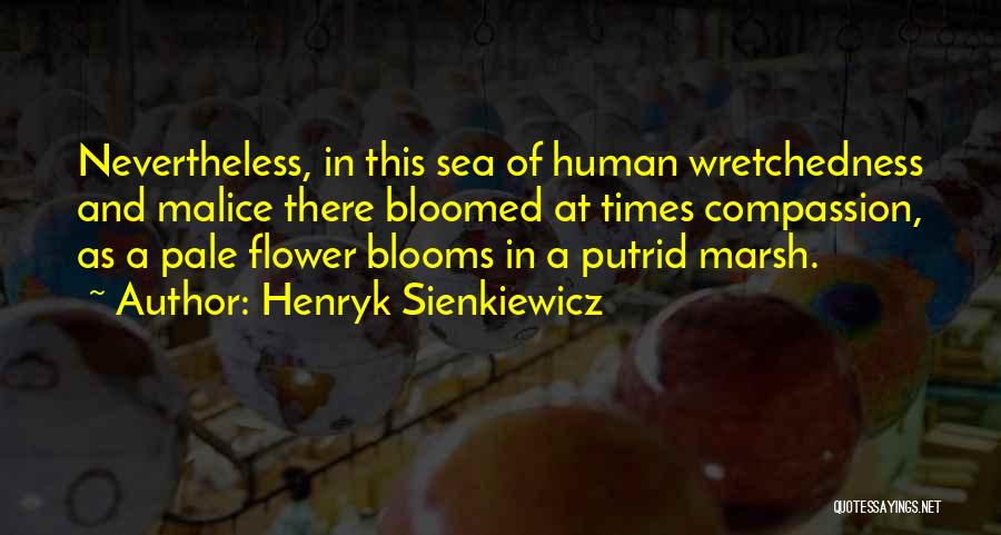 Henryk Sienkiewicz Quotes: Nevertheless, In This Sea Of Human Wretchedness And Malice There Bloomed At Times Compassion, As A Pale Flower Blooms In