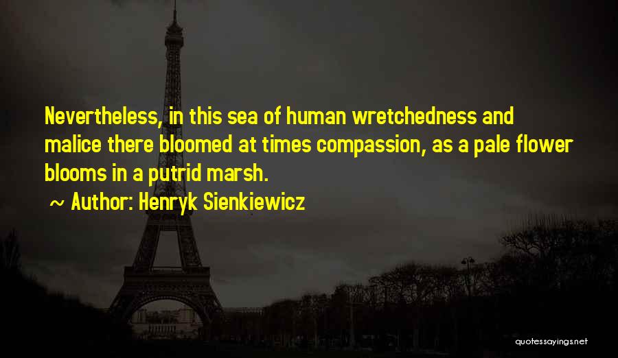 Henryk Sienkiewicz Quotes: Nevertheless, In This Sea Of Human Wretchedness And Malice There Bloomed At Times Compassion, As A Pale Flower Blooms In