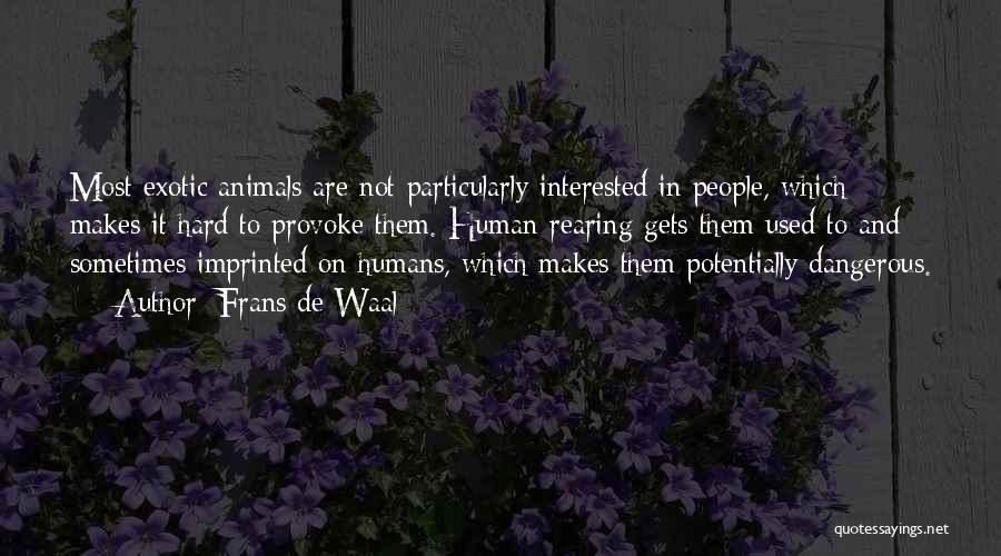 Frans De Waal Quotes: Most Exotic Animals Are Not Particularly Interested In People, Which Makes It Hard To Provoke Them. Human-rearing Gets Them Used