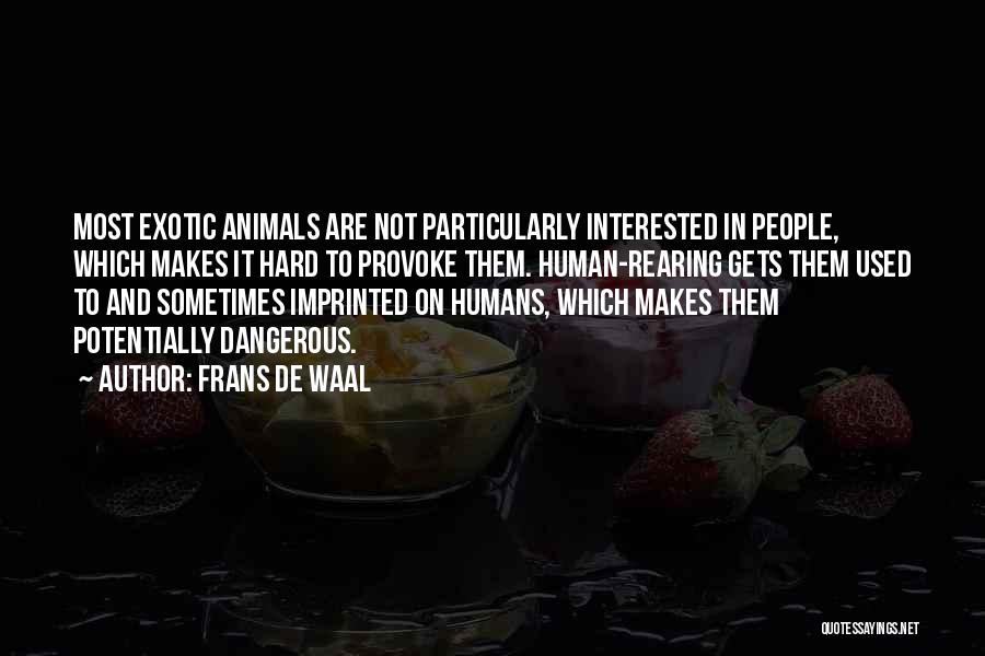 Frans De Waal Quotes: Most Exotic Animals Are Not Particularly Interested In People, Which Makes It Hard To Provoke Them. Human-rearing Gets Them Used