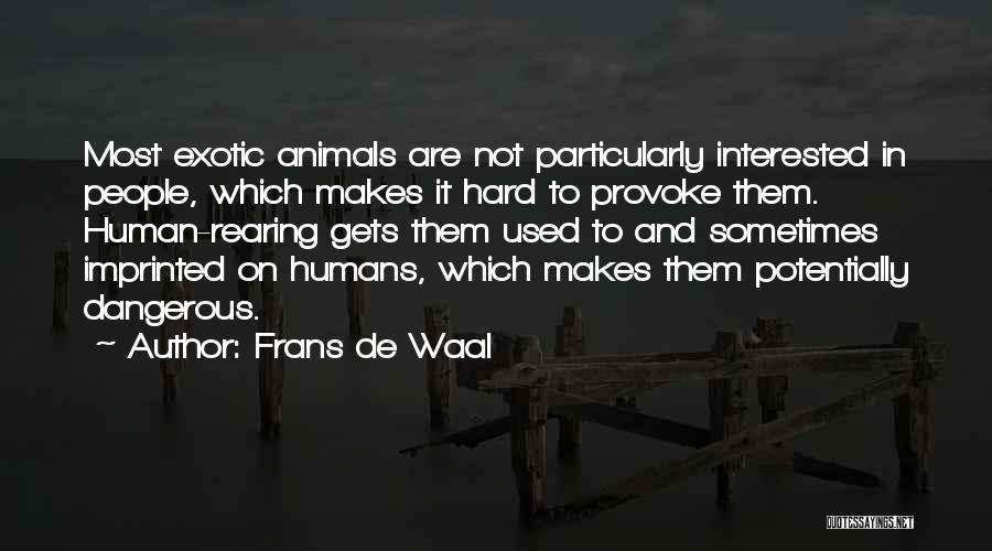 Frans De Waal Quotes: Most Exotic Animals Are Not Particularly Interested In People, Which Makes It Hard To Provoke Them. Human-rearing Gets Them Used