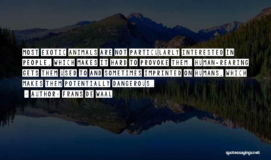 Frans De Waal Quotes: Most Exotic Animals Are Not Particularly Interested In People, Which Makes It Hard To Provoke Them. Human-rearing Gets Them Used