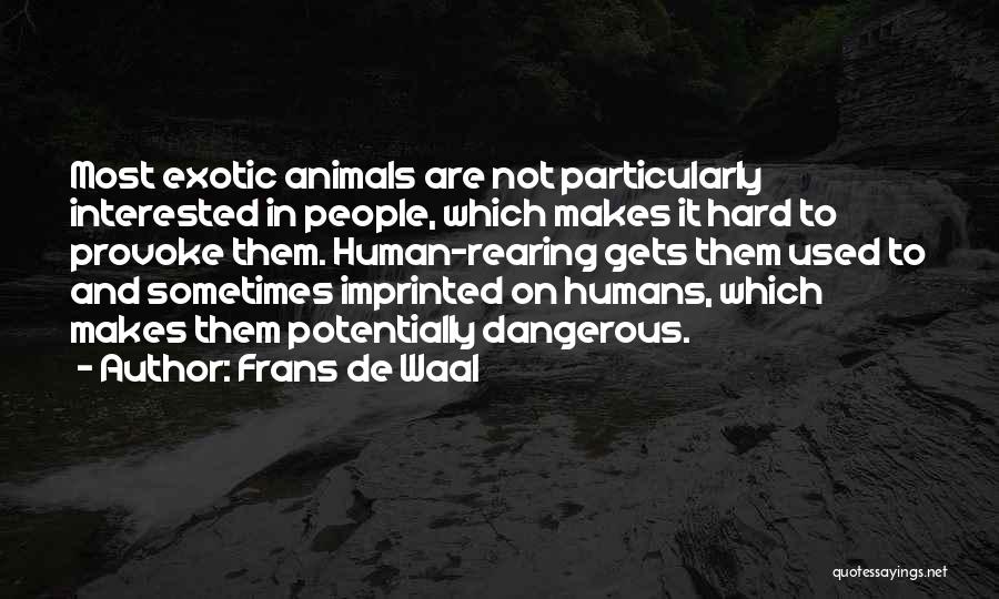 Frans De Waal Quotes: Most Exotic Animals Are Not Particularly Interested In People, Which Makes It Hard To Provoke Them. Human-rearing Gets Them Used