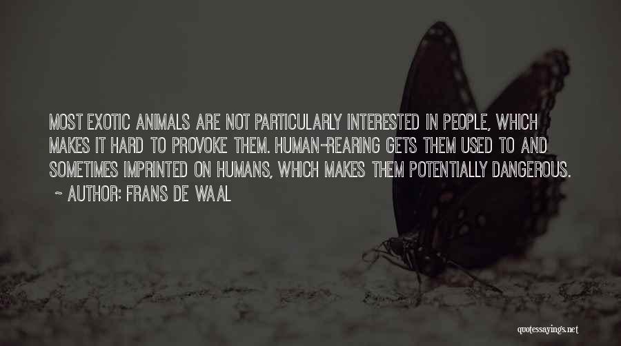 Frans De Waal Quotes: Most Exotic Animals Are Not Particularly Interested In People, Which Makes It Hard To Provoke Them. Human-rearing Gets Them Used
