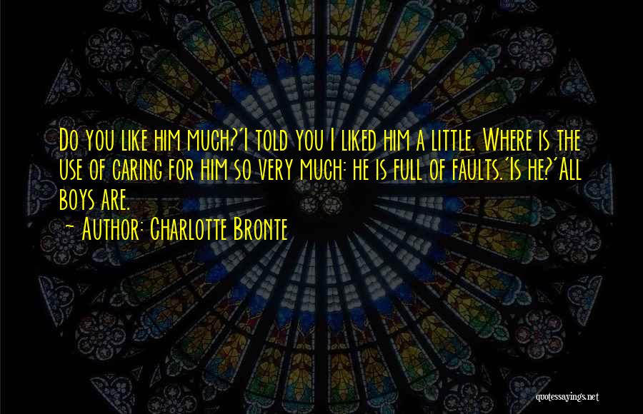 Charlotte Bronte Quotes: Do You Like Him Much?'i Told You I Liked Him A Little. Where Is The Use Of Caring For Him
