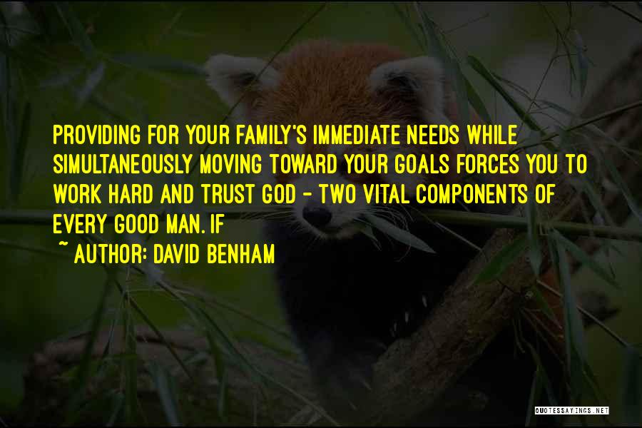 David Benham Quotes: Providing For Your Family's Immediate Needs While Simultaneously Moving Toward Your Goals Forces You To Work Hard And Trust God