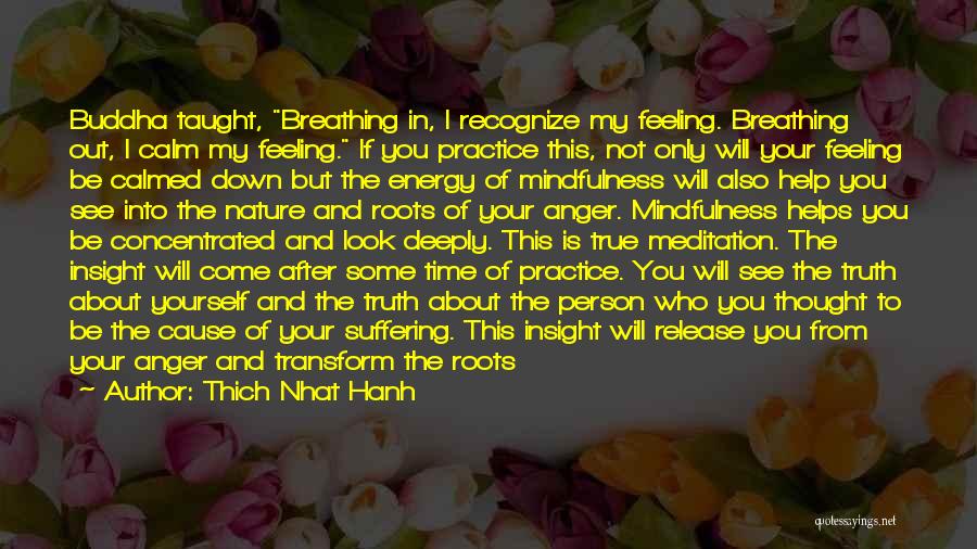 Thich Nhat Hanh Quotes: Buddha Taught, Breathing In, I Recognize My Feeling. Breathing Out, I Calm My Feeling. If You Practice This, Not Only