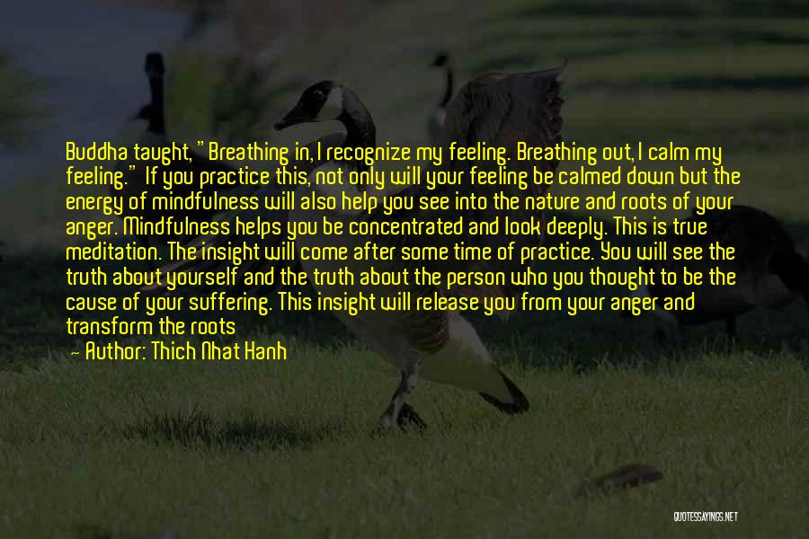 Thich Nhat Hanh Quotes: Buddha Taught, Breathing In, I Recognize My Feeling. Breathing Out, I Calm My Feeling. If You Practice This, Not Only