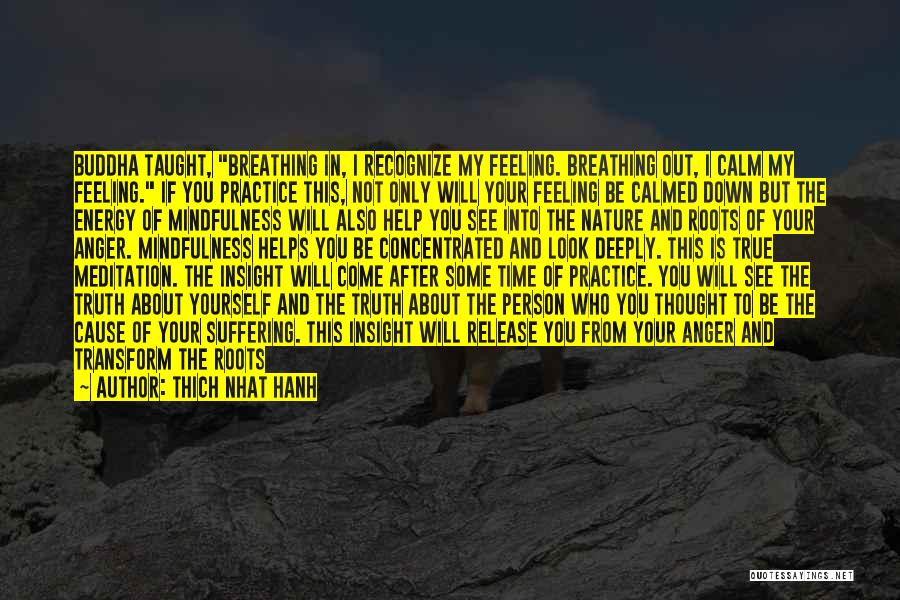 Thich Nhat Hanh Quotes: Buddha Taught, Breathing In, I Recognize My Feeling. Breathing Out, I Calm My Feeling. If You Practice This, Not Only