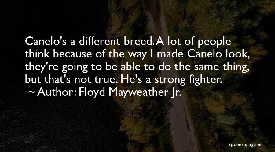 Floyd Mayweather Jr. Quotes: Canelo's A Different Breed. A Lot Of People Think Because Of The Way I Made Canelo Look, They're Going To