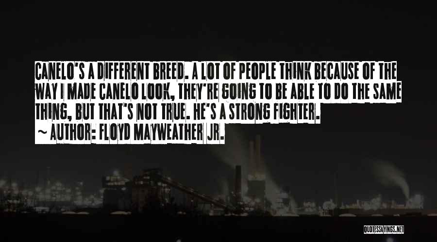 Floyd Mayweather Jr. Quotes: Canelo's A Different Breed. A Lot Of People Think Because Of The Way I Made Canelo Look, They're Going To