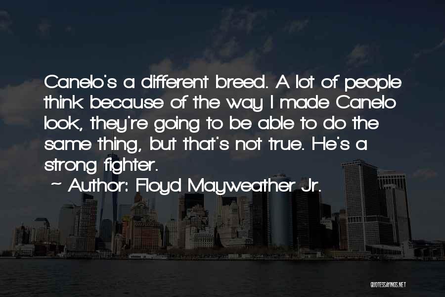 Floyd Mayweather Jr. Quotes: Canelo's A Different Breed. A Lot Of People Think Because Of The Way I Made Canelo Look, They're Going To