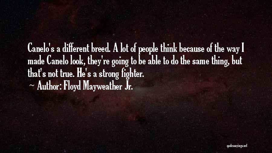 Floyd Mayweather Jr. Quotes: Canelo's A Different Breed. A Lot Of People Think Because Of The Way I Made Canelo Look, They're Going To