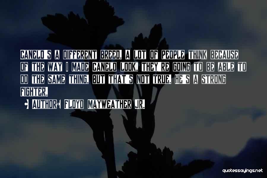 Floyd Mayweather Jr. Quotes: Canelo's A Different Breed. A Lot Of People Think Because Of The Way I Made Canelo Look, They're Going To