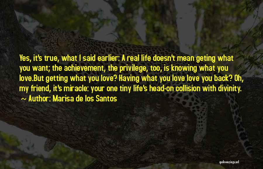 Marisa De Los Santos Quotes: Yes, It's True, What I Said Earlier: A Real Life Doesn't Mean Geting What You Want; The Achievement, The Privilege,