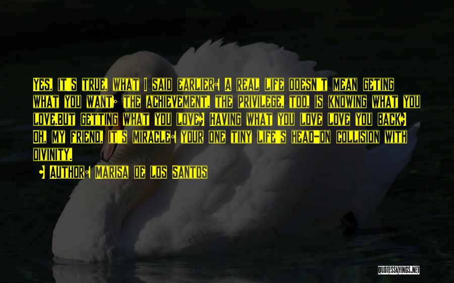 Marisa De Los Santos Quotes: Yes, It's True, What I Said Earlier: A Real Life Doesn't Mean Geting What You Want; The Achievement, The Privilege,