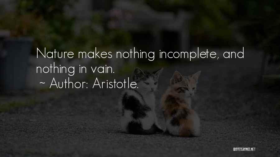 Aristotle. Quotes: Nature Makes Nothing Incomplete, And Nothing In Vain.