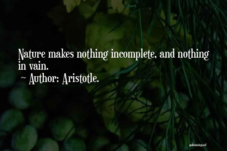 Aristotle. Quotes: Nature Makes Nothing Incomplete, And Nothing In Vain.