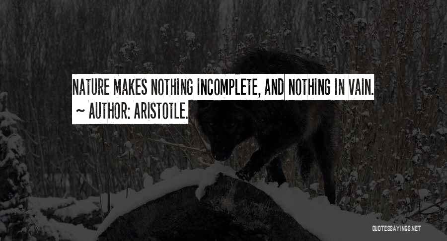 Aristotle. Quotes: Nature Makes Nothing Incomplete, And Nothing In Vain.