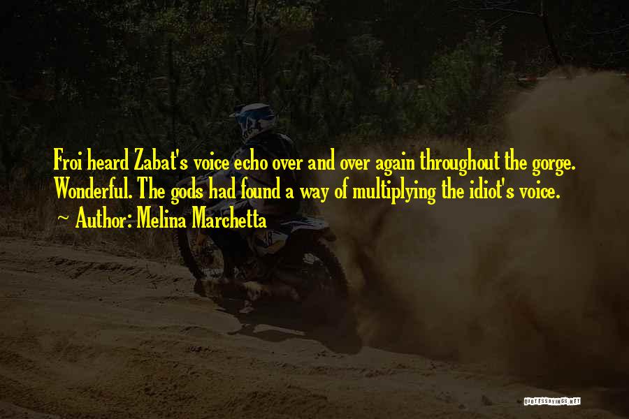 Melina Marchetta Quotes: Froi Heard Zabat's Voice Echo Over And Over Again Throughout The Gorge. Wonderful. The Gods Had Found A Way Of