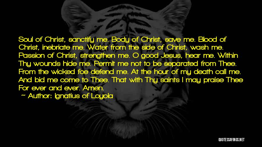 Ignatius Of Loyola Quotes: Soul Of Christ, Sanctify Me. Body Of Christ, Save Me. Blood Of Christ, Inebriate Me. Water From The Side Of