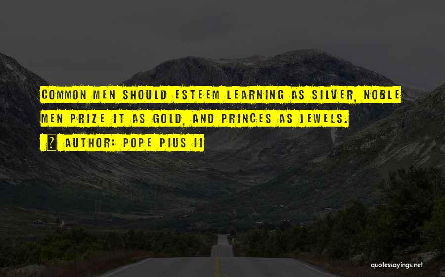 Pope Pius II Quotes: Common Men Should Esteem Learning As Silver, Noble Men Prize It As Gold, And Princes As Jewels.