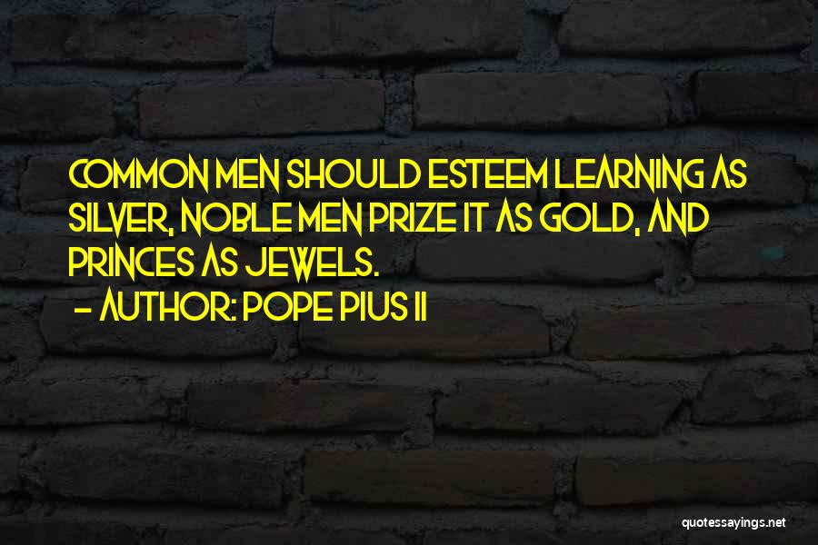 Pope Pius II Quotes: Common Men Should Esteem Learning As Silver, Noble Men Prize It As Gold, And Princes As Jewels.