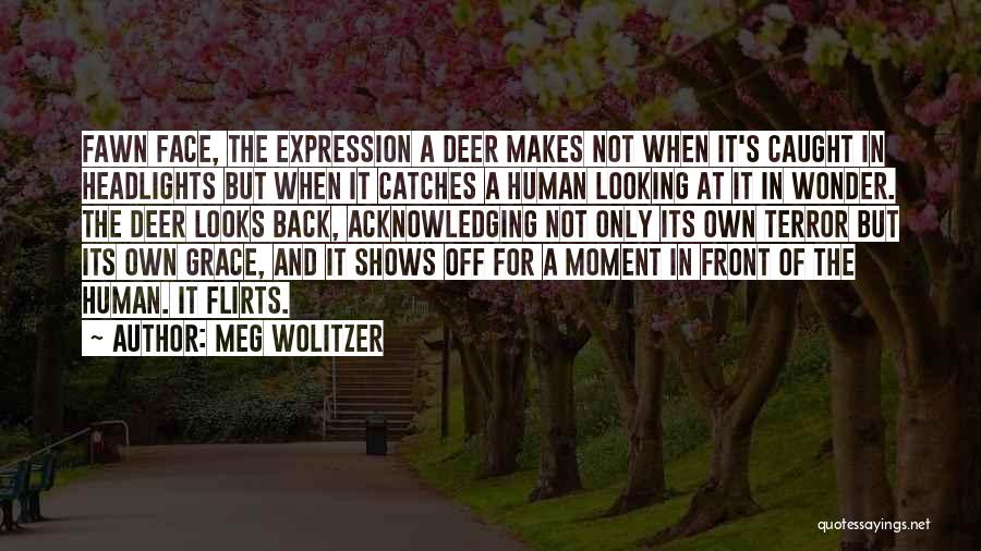 Meg Wolitzer Quotes: Fawn Face, The Expression A Deer Makes Not When It's Caught In Headlights But When It Catches A Human Looking