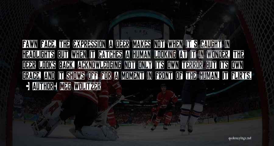 Meg Wolitzer Quotes: Fawn Face, The Expression A Deer Makes Not When It's Caught In Headlights But When It Catches A Human Looking