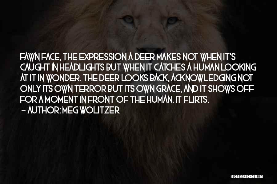 Meg Wolitzer Quotes: Fawn Face, The Expression A Deer Makes Not When It's Caught In Headlights But When It Catches A Human Looking