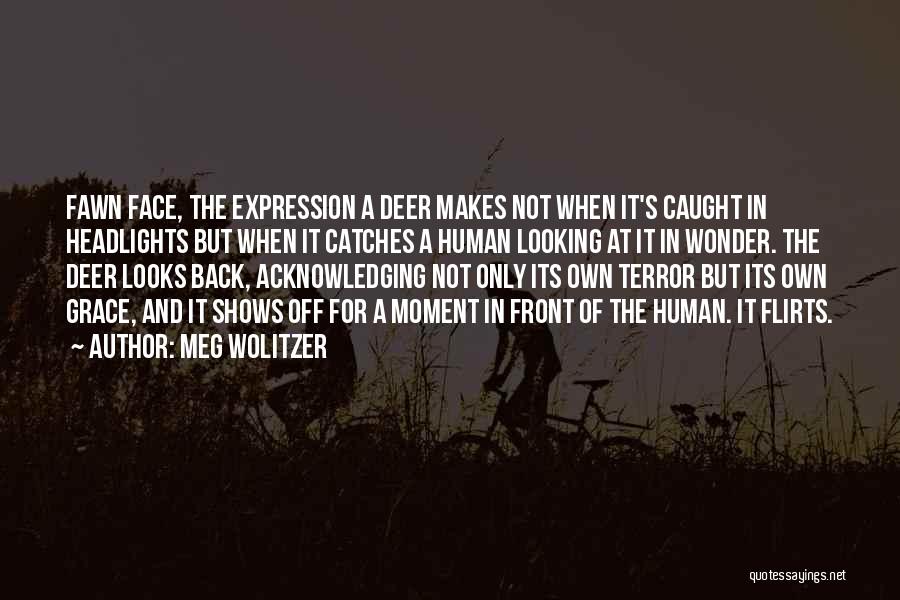 Meg Wolitzer Quotes: Fawn Face, The Expression A Deer Makes Not When It's Caught In Headlights But When It Catches A Human Looking