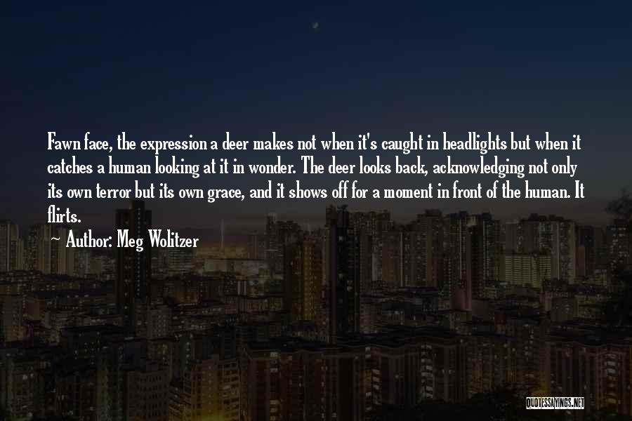 Meg Wolitzer Quotes: Fawn Face, The Expression A Deer Makes Not When It's Caught In Headlights But When It Catches A Human Looking
