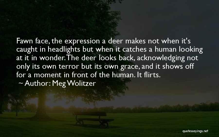 Meg Wolitzer Quotes: Fawn Face, The Expression A Deer Makes Not When It's Caught In Headlights But When It Catches A Human Looking