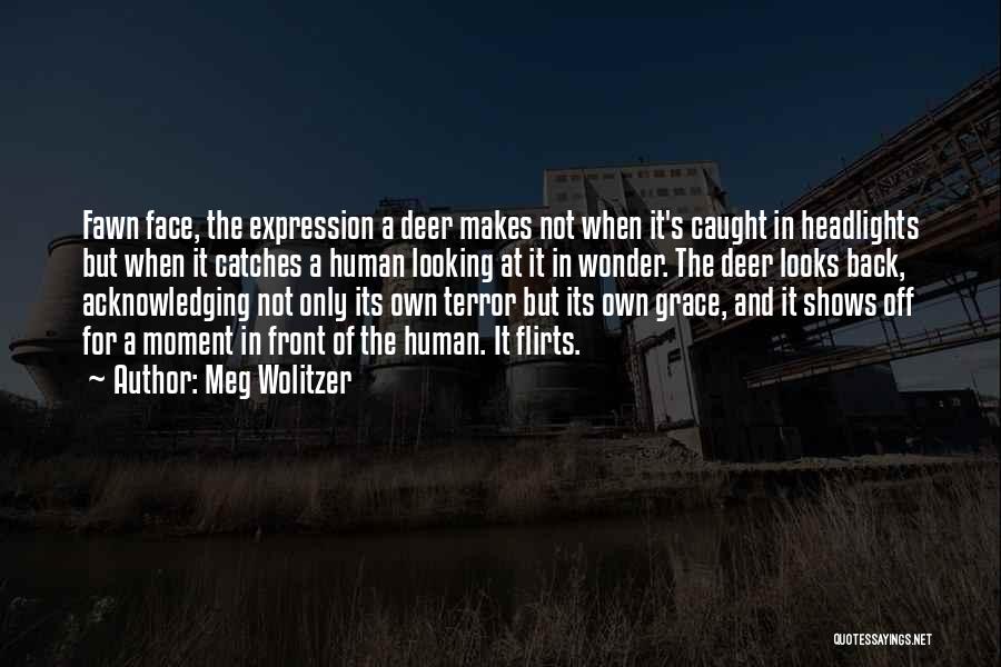 Meg Wolitzer Quotes: Fawn Face, The Expression A Deer Makes Not When It's Caught In Headlights But When It Catches A Human Looking