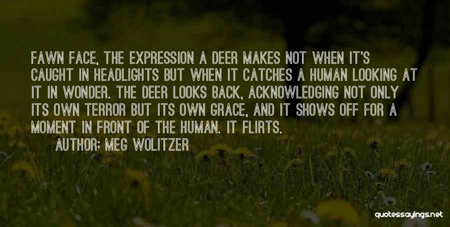 Meg Wolitzer Quotes: Fawn Face, The Expression A Deer Makes Not When It's Caught In Headlights But When It Catches A Human Looking