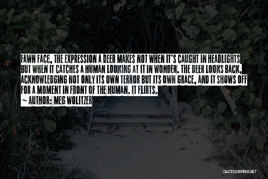 Meg Wolitzer Quotes: Fawn Face, The Expression A Deer Makes Not When It's Caught In Headlights But When It Catches A Human Looking