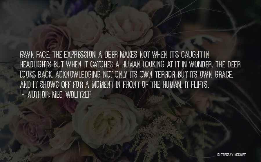 Meg Wolitzer Quotes: Fawn Face, The Expression A Deer Makes Not When It's Caught In Headlights But When It Catches A Human Looking