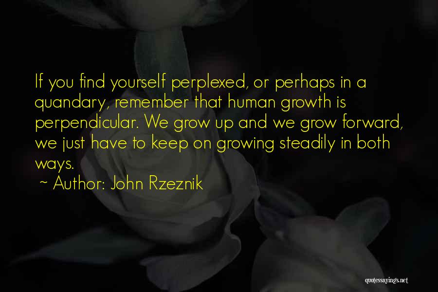 John Rzeznik Quotes: If You Find Yourself Perplexed, Or Perhaps In A Quandary, Remember That Human Growth Is Perpendicular. We Grow Up And