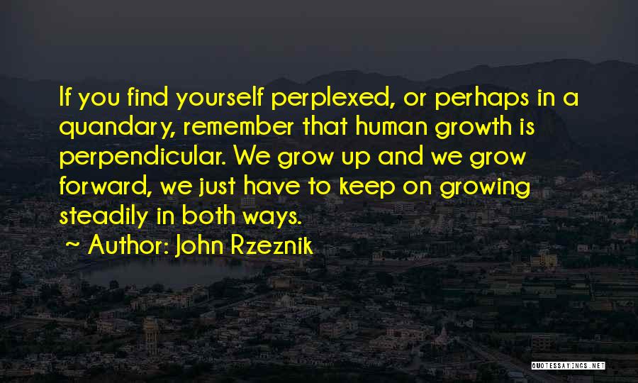 John Rzeznik Quotes: If You Find Yourself Perplexed, Or Perhaps In A Quandary, Remember That Human Growth Is Perpendicular. We Grow Up And