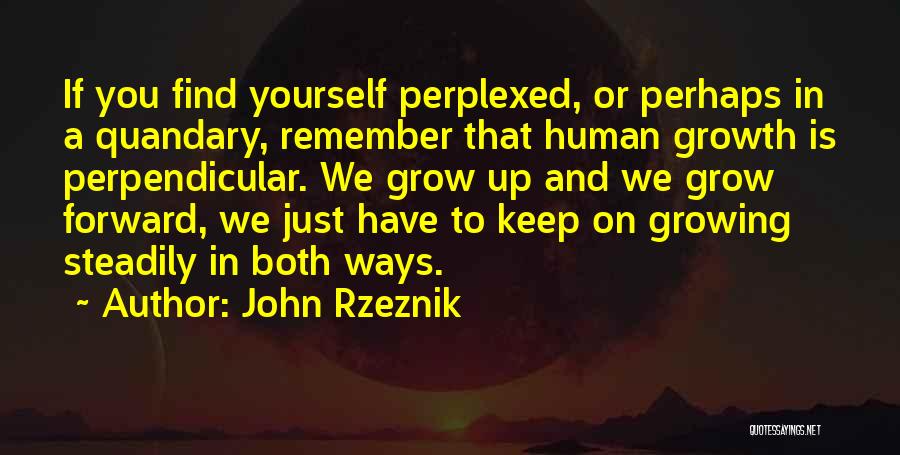 John Rzeznik Quotes: If You Find Yourself Perplexed, Or Perhaps In A Quandary, Remember That Human Growth Is Perpendicular. We Grow Up And