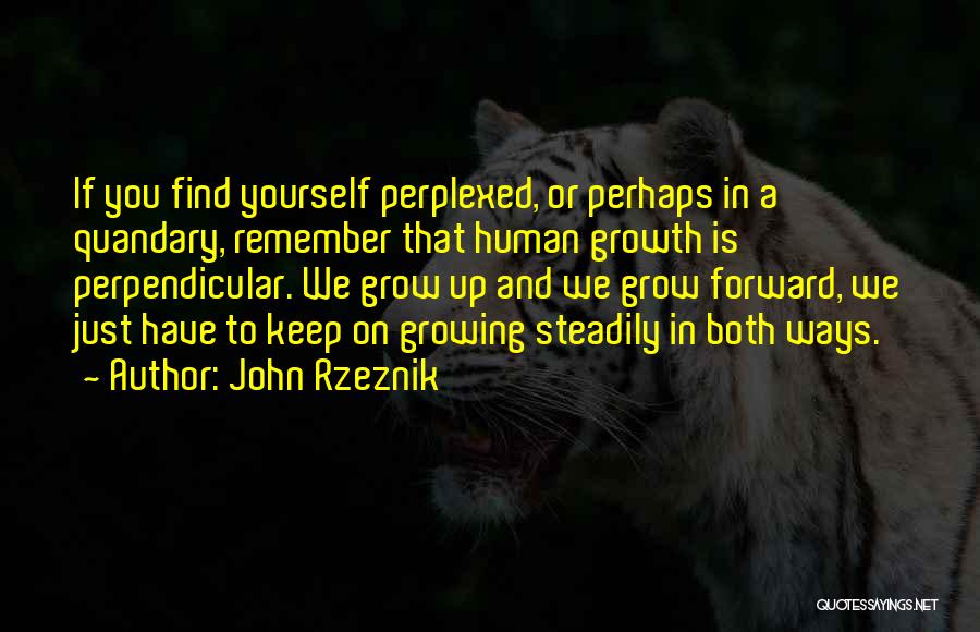 John Rzeznik Quotes: If You Find Yourself Perplexed, Or Perhaps In A Quandary, Remember That Human Growth Is Perpendicular. We Grow Up And