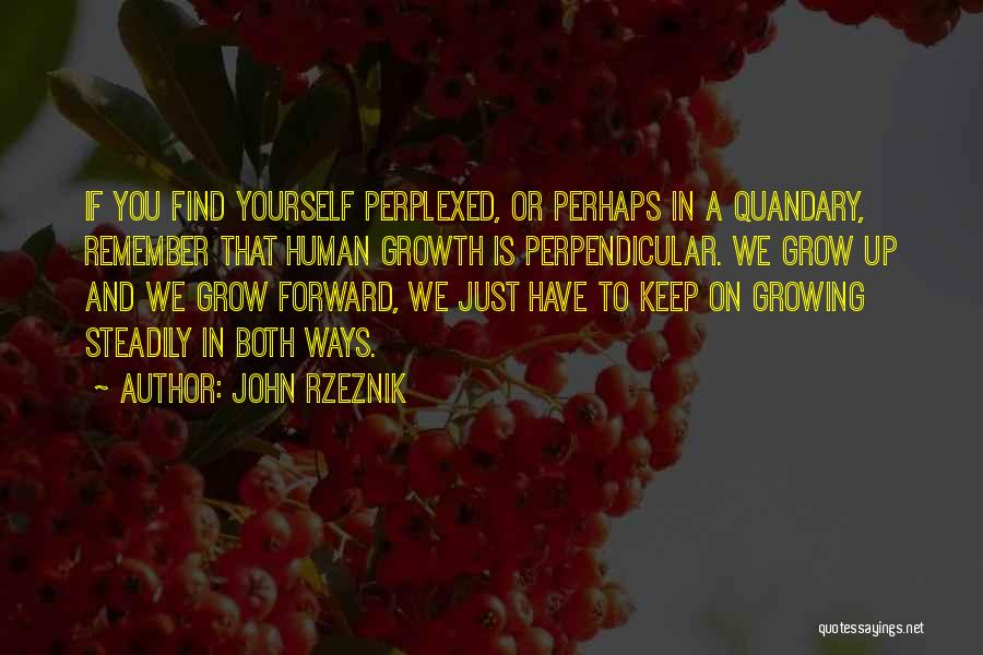 John Rzeznik Quotes: If You Find Yourself Perplexed, Or Perhaps In A Quandary, Remember That Human Growth Is Perpendicular. We Grow Up And