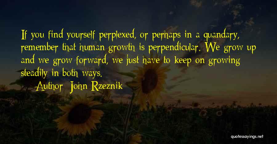 John Rzeznik Quotes: If You Find Yourself Perplexed, Or Perhaps In A Quandary, Remember That Human Growth Is Perpendicular. We Grow Up And