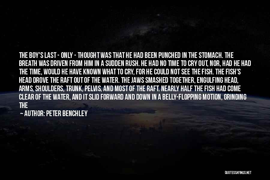 Peter Benchley Quotes: The Boy's Last - Only - Thought Was That He Had Been Punched In The Stomach. The Breath Was Driven