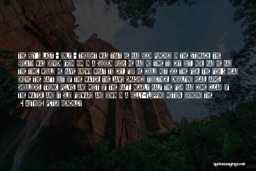Peter Benchley Quotes: The Boy's Last - Only - Thought Was That He Had Been Punched In The Stomach. The Breath Was Driven